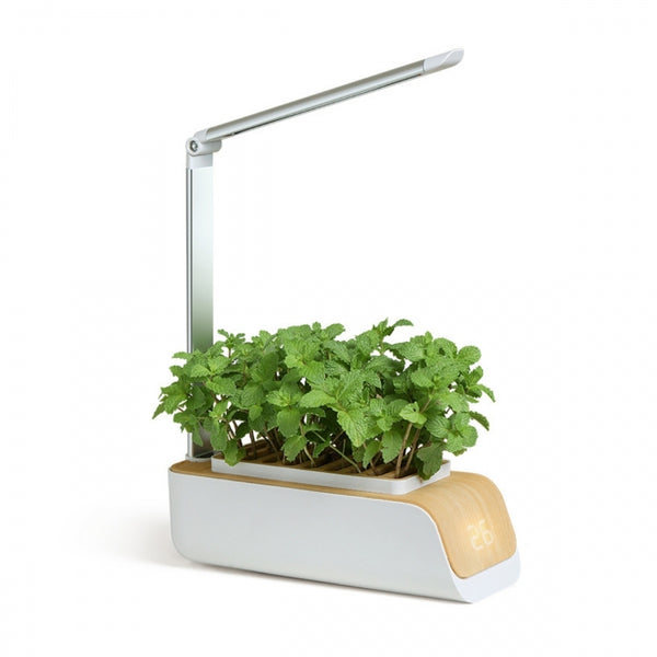 Jardim urbano interno | LED automático | Crescimento sem luz natural | Altura e ângulo ajustáveis | 4,5 W | Controle de toque | Lembrete de água | Ideal para espaços pequenos | Sustentável | Mini-cultivo | Mobiclinic